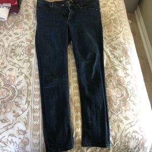 Dark Wash Skinny Express Jeans